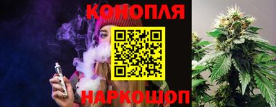 сатива Заволжье