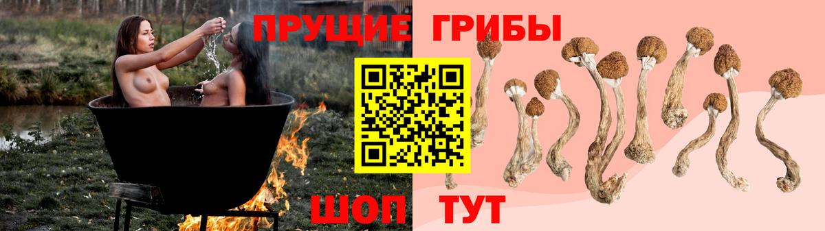 Галлюциногенные грибы Psilocybe Долгопрудный